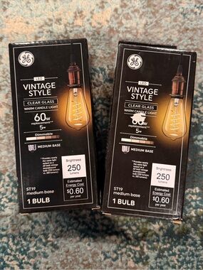 GE Vintage Style LED Bulb - Warm Amber Glass (Set of 2)